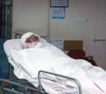 Dağdan inen kurt dehşet saçtı - Resim: 3