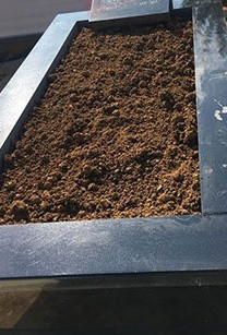 Bekçi açıkladı 'Vatan Şaşmaz'ın mezarına geceleri gizemli...' - Resim: 3