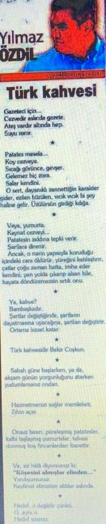 Yılmaz Özdil son 1 ayda 15 yazı kopyalamış - Resim: 2