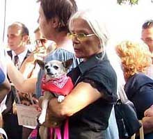 Evlilik rekortmeni ünlüler - Resim: 2