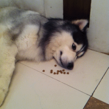 Bu fotoğrafları gerçek hayatta görmeniz çok zor - Resim: 2