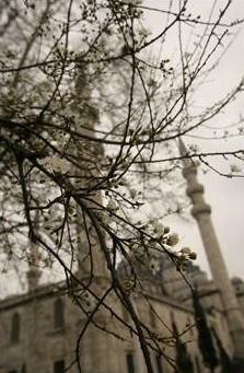 Süleymaniye Cami'nin müthiş sırrı - Resim: 4