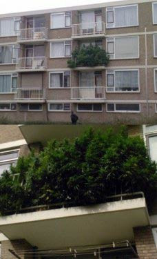 En çok güldüren fotoğraflar - Resim: 2