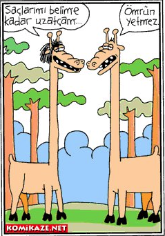 Gülmekten kırıp geçiren karikatürler  - Resim: 3