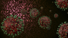 Ebola salgınında vaka sayısı 1792’ye yükseldi