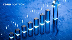 Tly fon rüzgarı! Tera Portföy yatırımcı sayısını katladı