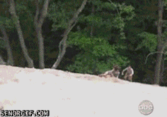 Günün en bomba anları - Resim: 2