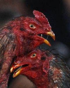 Bu haberler akla zarar! - Resim: 4