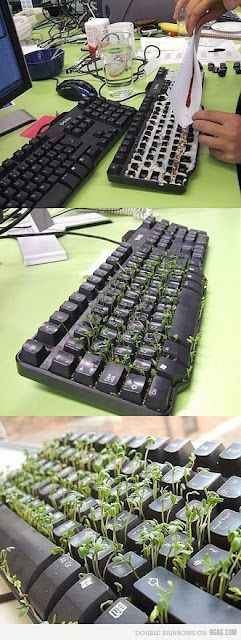 1 Nisan şakaları resimli detaylı anlatım-yeni 2018  - Resim: 3