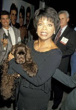 En çok kazanan kadınlar - Resim: 3