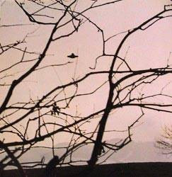 Dünya dışı varlık tipleri - Resim: 3