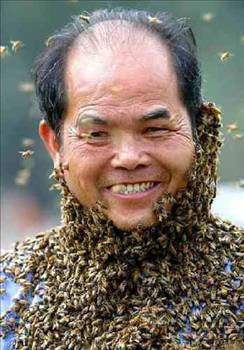 Arı sokmasındaki şifa - Resim: 4