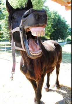 Kahkahayı garanti eden o anlar! - Resim: 2