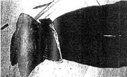 Müdafii avukattan şok talep! - Resim: 4