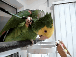 Haftanın en çok tıklanan gifleri - Resim: 2