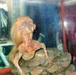 İşte tüyler ürperten yaratık! - Resim: 2