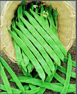 10 adımda sağlıklı saçlar - Resim: 3