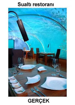 Sizce hangisi sahte? - Resim: 3