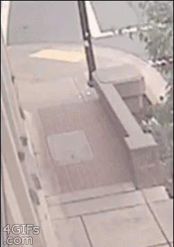 Sonlarını asla tahmin edemezsiniz! - Resim: 1