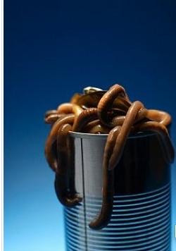 İşte dünyanın en pis 10 mesleği - Resim: 4