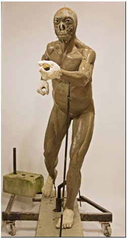 Neandertal dünyanın yok olan insan ırkı - Resim: 3