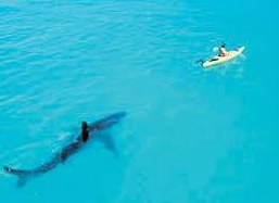 Doğaya ölümüne meydan okuyan adamlar - Resim: 1