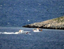 Kardak'ta yine çipura kapışması - Resim: 1