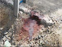 Hakkari'de direğe asılı ceset  - Resim: 1