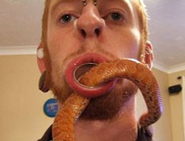 Güne damga vuran kareler - Resim: 3