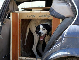 Eski otomobilden bakın ne yaptı   - Resim: 2
