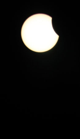 Dünya bu fotoğrafları konuşuyor! - Resim: 4