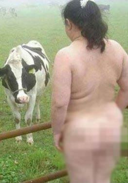 İnternette yayınlanan en çılgın kareler - Resim: 4