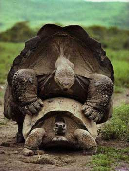 Günün ilginç fotoğrafları! - Resim: 3