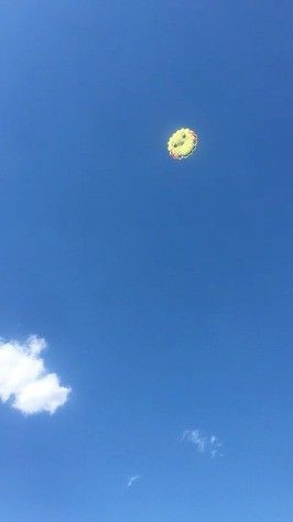 Paraşüt keyfi faciayla sonlandı! Kopan elektrik telleri zeytin bahçesini yaktı - Resim: 4