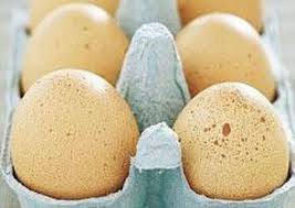 En yeni yumurta geyikleri - Resim: 4