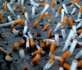 Türkler'in en çok söylediği yalanlar - Resim: 4