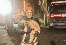 Kuyu köpeğe ne oldu karantinaya alındı iddiası - Resim: 3