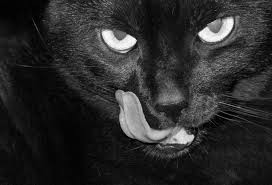 Dünyada en yaygın 17 batıl inanç - Resim: 3