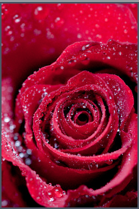 40 adımda cennete gitmenin yolu - Resim: 1