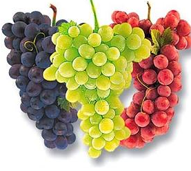 Kuru üzüm cana can katıyor! - Resim: 3