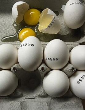 İşte dünyanın en pis 10 mesleği - Resim: 3