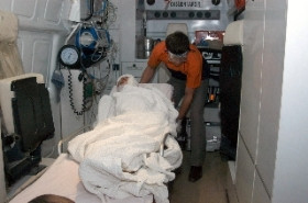 Dağdan inen kurt dehşet saçtı - Resim: 2