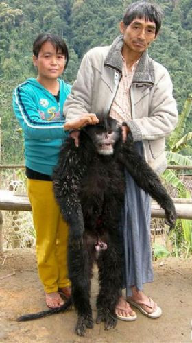 2010'un en garip hayvanları! - Resim: 2