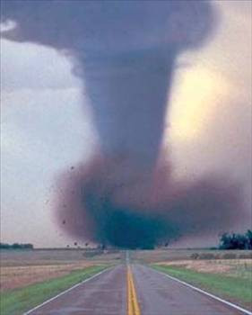 Doğa olaylarının en'leri! - Resim: 4