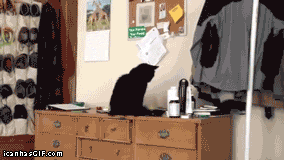 Bu fotoğrafları gerçek hayatta görmeniz çok zor - Resim: 3