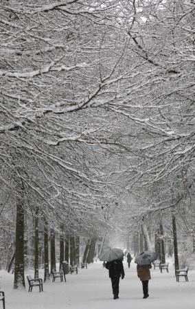 Avrupa'da kehanet gerçekleşiyor - Resim: 3