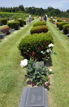 7 bin km ötedeki şehitlik - Resim: 3