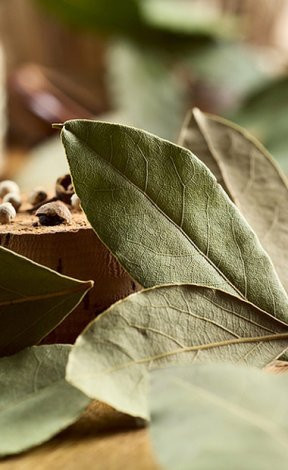 Defne yaprağının bilinmeyen faydaları - Resim: 1