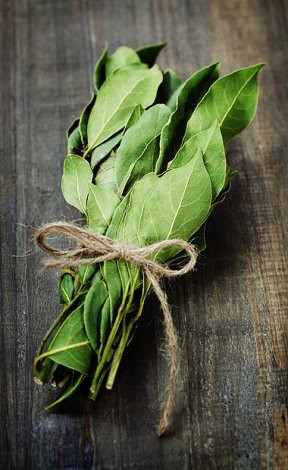 Defne yaprağının bilinmeyen faydaları - Resim: 2