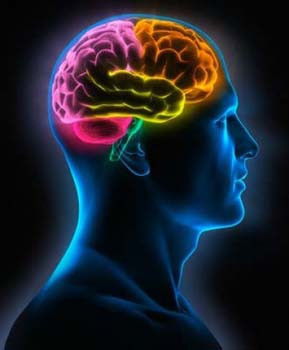 Kuvvetli hafıza kriterleri - Resim: 4